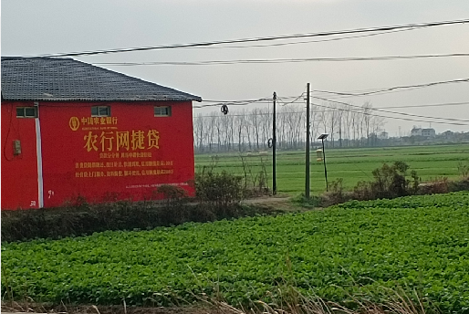 莲花如何防止墙体广告褪色呢？