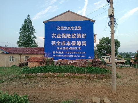 莲花墙体广告为何受追捧？